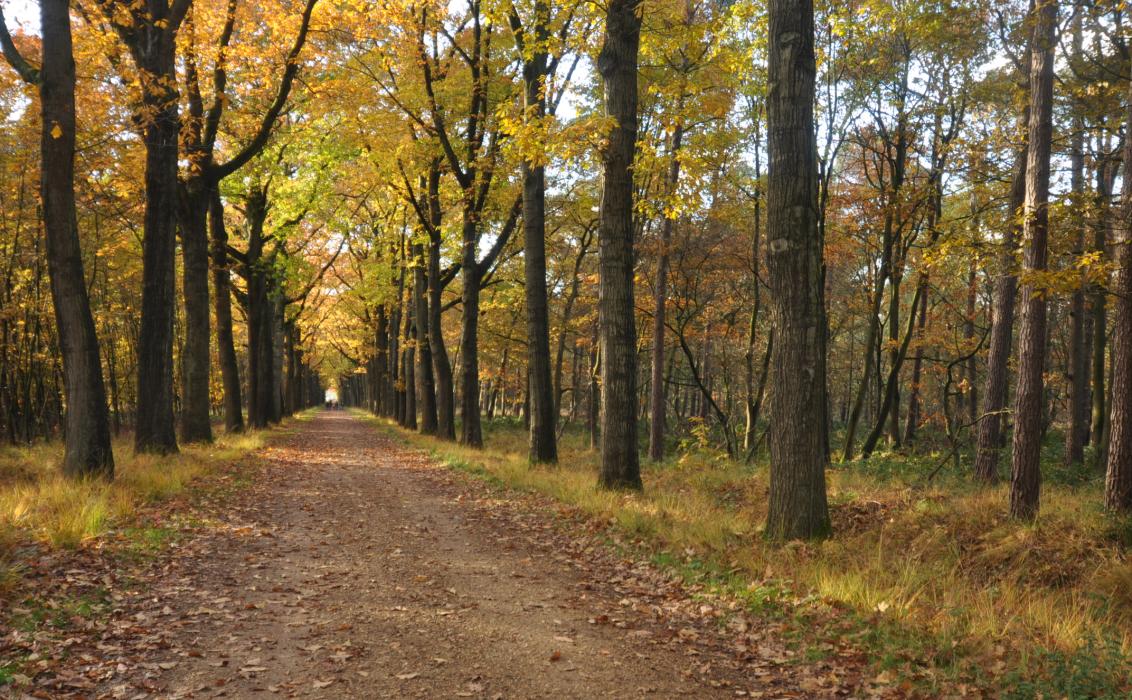 herfst